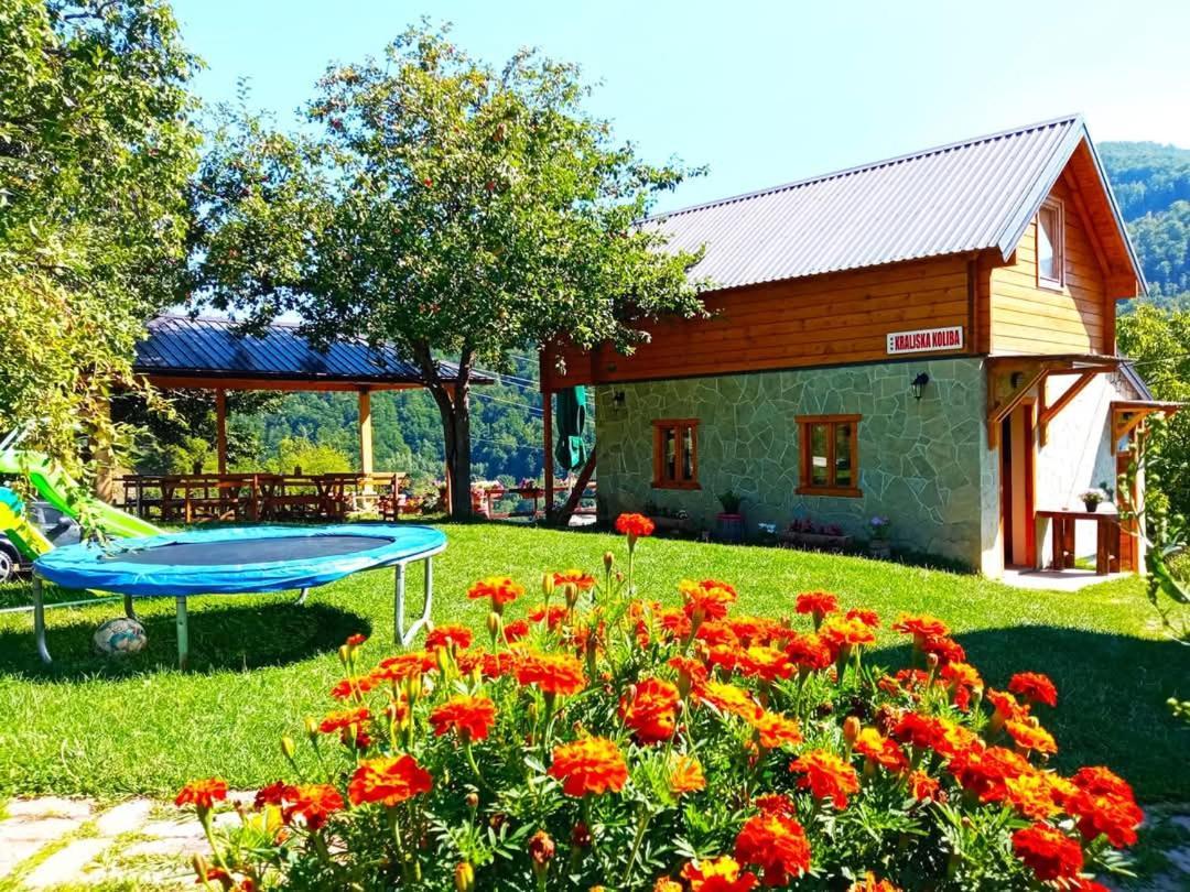 Kraljska Koliba - Kralje'S Cottage Andrijevica Εξωτερικό φωτογραφία