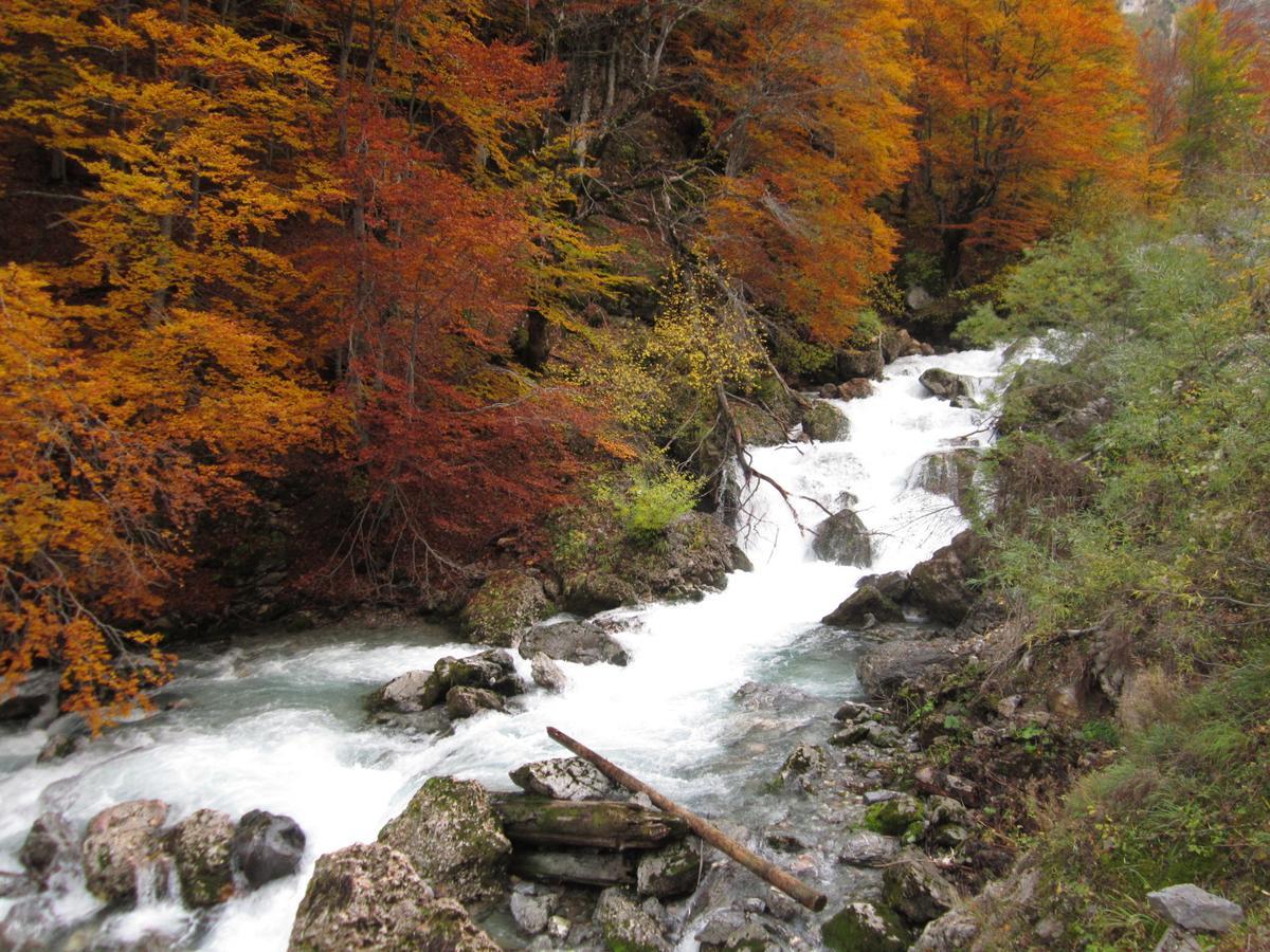 Kraljska Koliba - Kralje'S Cottage Andrijevica Εξωτερικό φωτογραφία