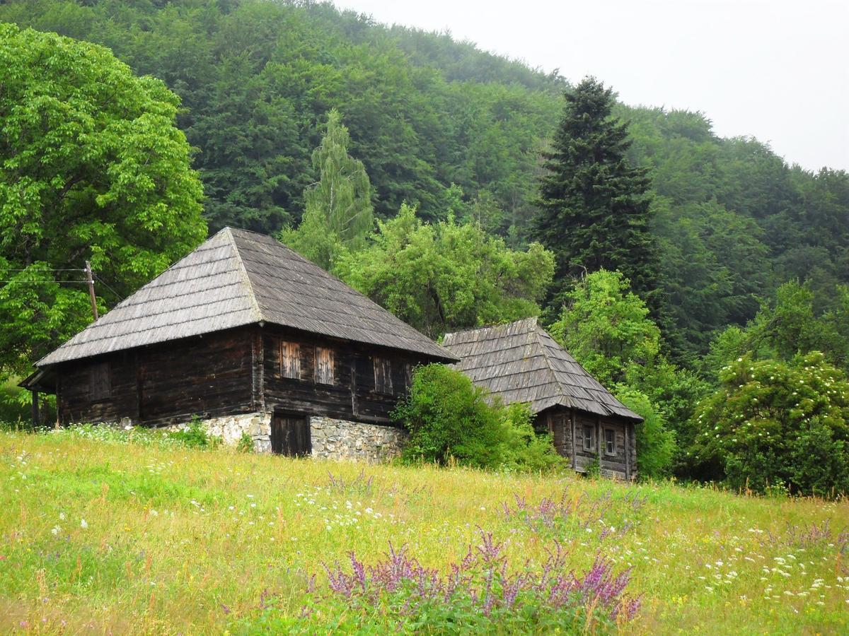 Kraljska Koliba - Kralje'S Cottage Andrijevica Εξωτερικό φωτογραφία