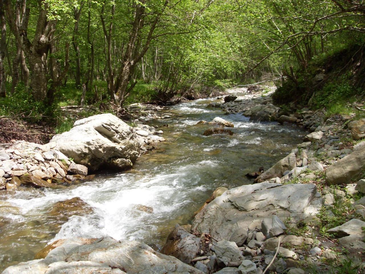 Kraljska Koliba - Kralje'S Cottage Andrijevica Εξωτερικό φωτογραφία